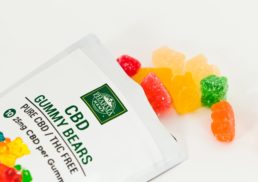 Exploring the Benefits of CBD Gummies in 2023