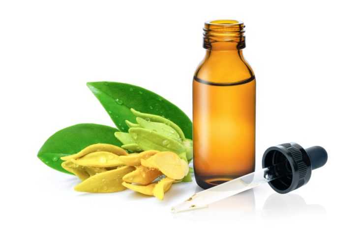 114e447e fd48 4225 ac65 d4eb2f5baa1c Discover the Amazing Benefits of Ylang Ylang Essential Oil Ylang-ylang