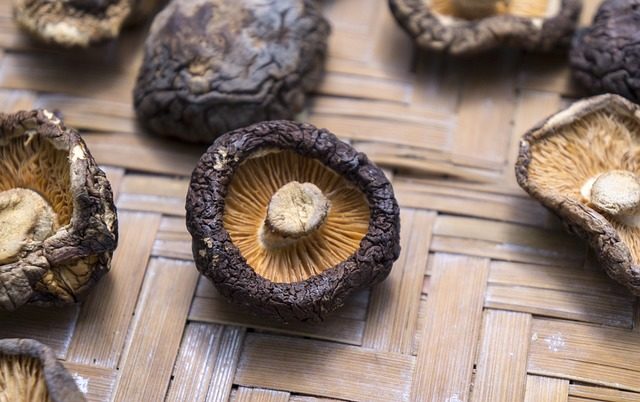 food, shiitake mushrooms, dried