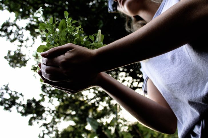 Photo by Mike Greer: https://www.pexels.com/photo/woman-holding-plant-1390371/