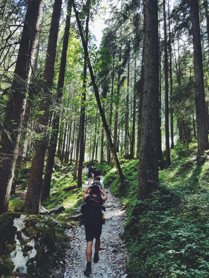 Photo by Ben Maxwell: https://www.pexels.com/photo/four-people-walking-on-gray-path-surrounded-by-tall-trees-1194235/