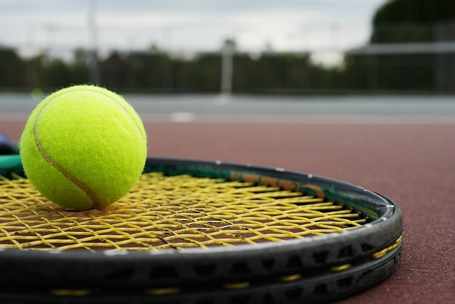 tennis racket, tennis ball, racket