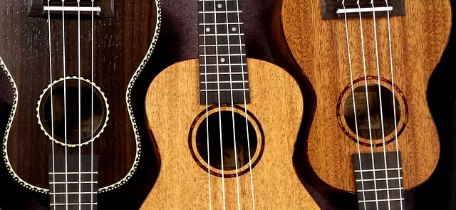 ukulele, snail, ukes