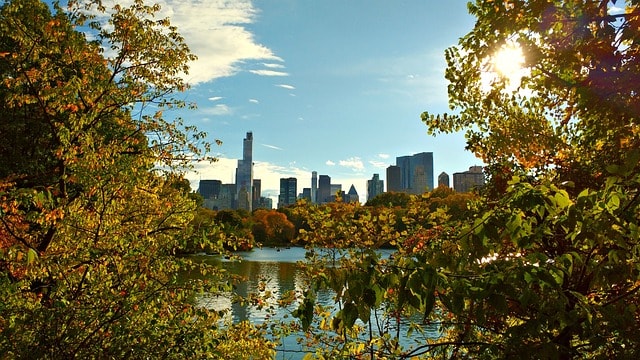 new york, central park, nyc