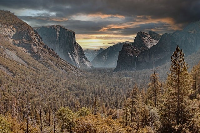 yosemite, sunset, forest