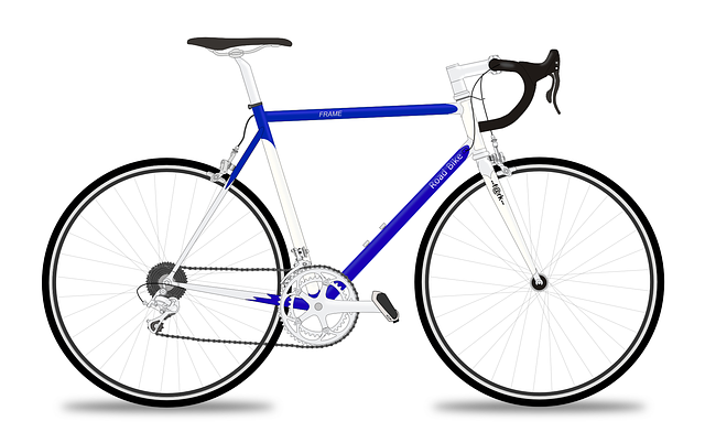 racing bicycle, racer, racing bike