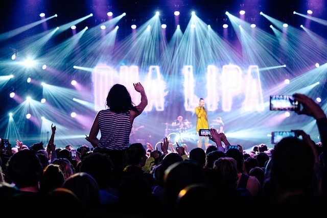 dua lipa, concert, audience