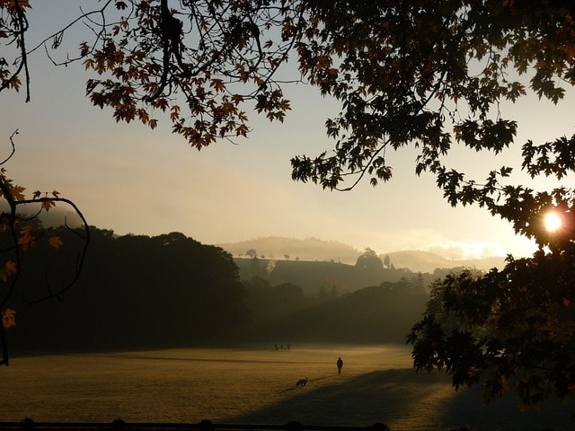 baden baden, fall, lichtentaler allee