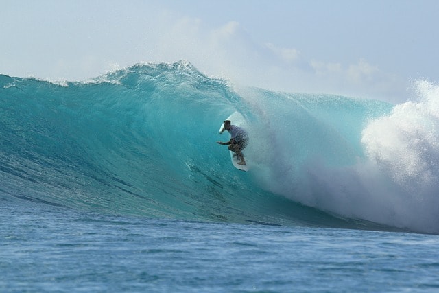 surfing, paradise, summer