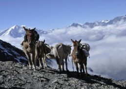 Mastering Himalaya Mountaineering: Your Ultimate Adventure Guide