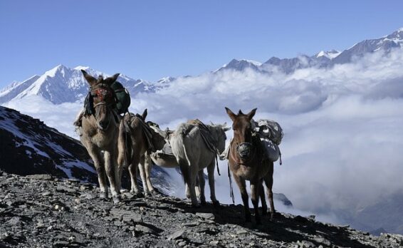 Mastering Himalaya Mountaineering: Your Ultimate Adventure Guide