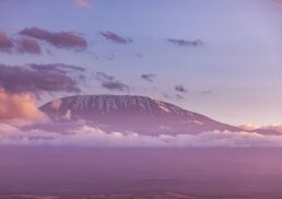 Top Climb Kilimanjaro Tour Packages for Your Next Adventure